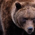 Giordano Bruno ritratto