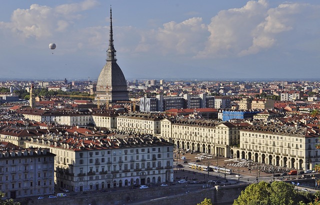 Una Mole di Panettoni Torino