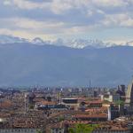 Una Mole di Panettoni Torino