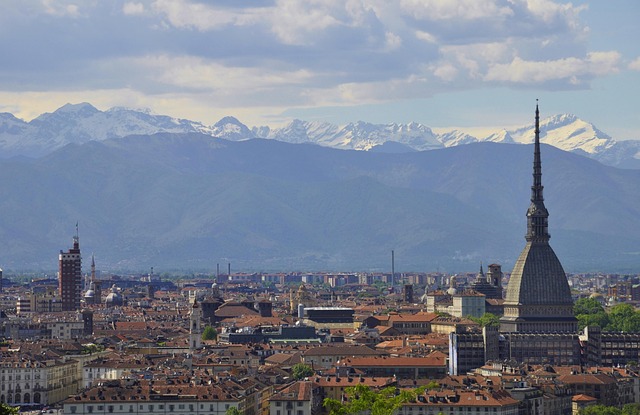 Una Mole di Panettoni Torino